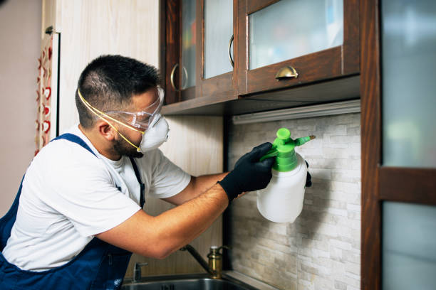 Best Cockroach Control Services  in Closter, NJ